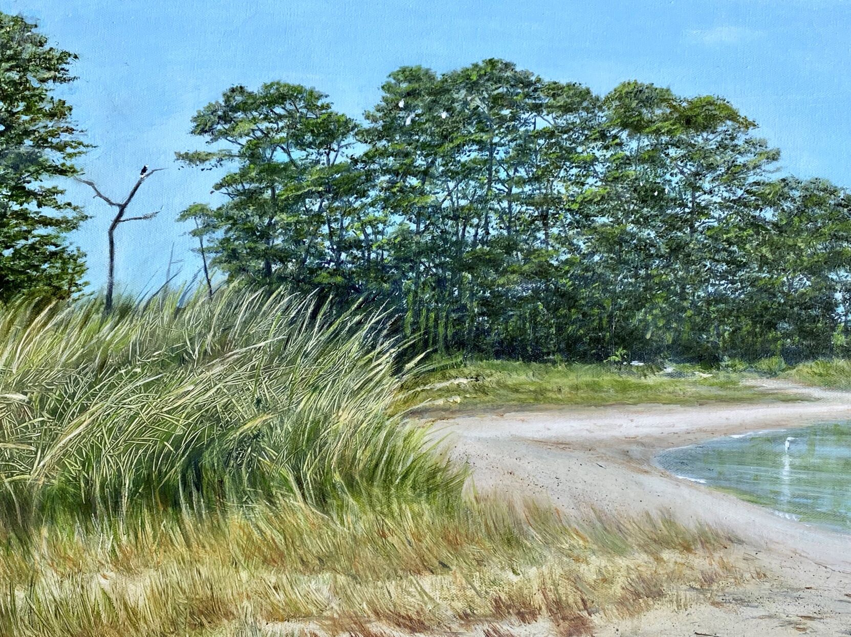 Rice tranquility detail, Beebe